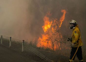 Пожарный погиб в зоне лесных пожаров в Новом Южном Уэльсе Пожарный погиб в зоне лесных пожаров в Новом Южном Уэльсе