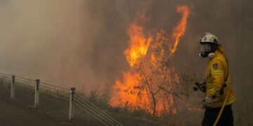 Пожарный погиб в зоне лесных пожаров в Новом Южном Уэльсе