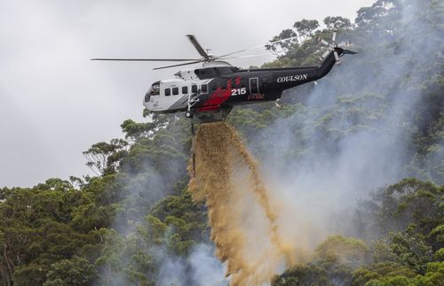 Пожарный погиб в зоне лесных пожаров в Новом Южном Уэльсе