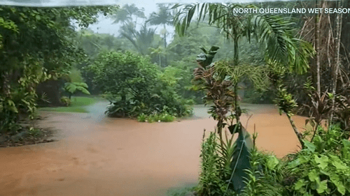 В связи с тем, что в некоторых районах Квинсленда за неделю выпало количество осадков, превышающее среднегодовое, объявлены предупреждения о наводнении.