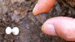 Самая большая загадка эволюции человека начала раскрываться. Как 2025 год изменил ход событий?