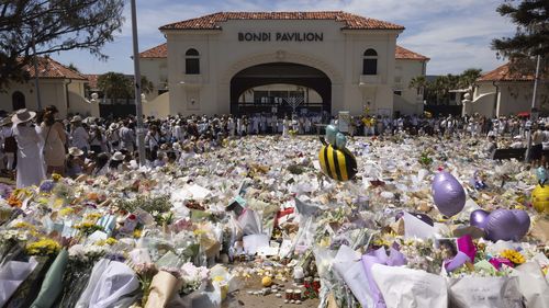 Сотни людей присоединились к митингу «Австралия прежде всего», несмотря на призывы прекратить его.