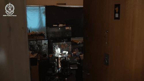 Журналиста и бывшего тренера по плаванию обвиняют в «отвратительной» организации сатанинских педофилов