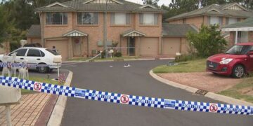 Беременная женщина борется за жизнь после того, как ее сбила машина в результате предполагаемого нападения на почве домашнего насилия.