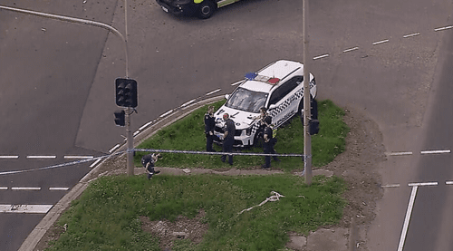 «Она сплачивает нашу семью»: отец вспоминает молодую женщину, погибшую в результате падения столба на машину.