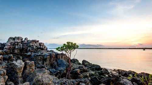 Шесть иностранных граждан были задержаны после обнаружения в отдаленном городе Западной Австралии.