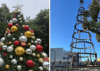 «Какой позор»: поджигатели сожгли рождественскую елку в провинциальном городке «Какой позор»: поджигатели сожгли рождественскую елку в провинциальном городке