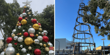 «Какой позор»: поджигатели сожгли рождественскую елку в провинциальном городке