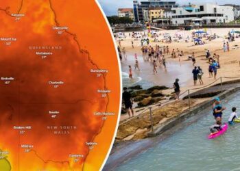 Температура в Сиднее превысила 40 градусов из-за сильнейшей волны тепла, охватившей город