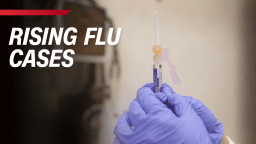 Тамифлю — не единственное доступное средство от гриппа. Существуют и другие варианты, которые могут оставаться незамеченными, но при этом приносить облегчение.