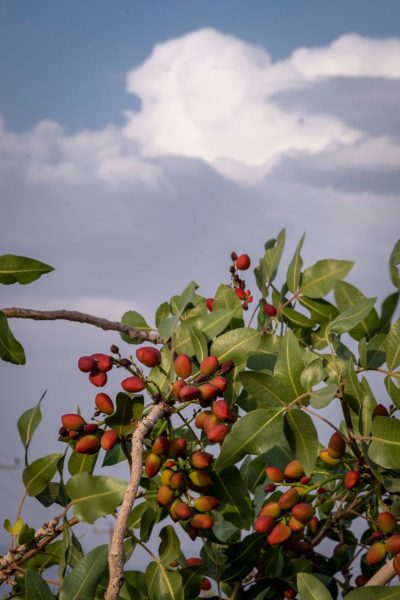 В этой стране, где водный кризис настолько серьезен, что его можно увидеть из космоса, могут пересохнуть краны.