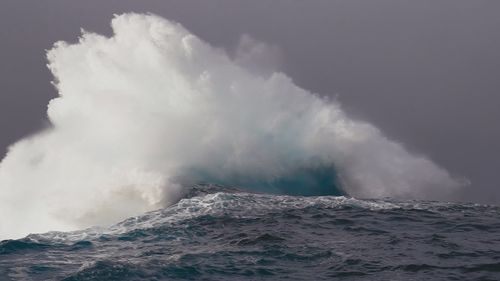 Уникальное морское зрелище у побережья Австралии стало вирусным в интернете.