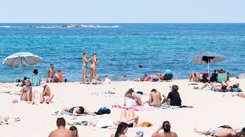 Какая погода будет в вашем городе в канун Нового года?