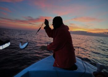 Что нужно знать о загадке рейса 370 Malaysia Airlines в связи с возобновлением поисков.