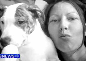 Женщина смертельно ранена собакой в своем доме в Южной Австралии