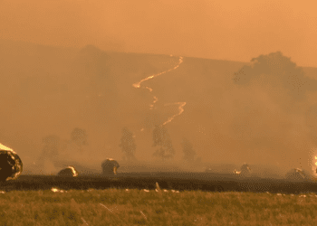 Очередной удар для пострадавших от лесных пожаров населенных пунктов, поскольку пожары в штате Виктория продолжают бушевать.