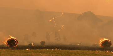Очередной удар для пострадавших от лесных пожаров населенных пунктов, поскольку пожары в штате Виктория продолжают бушевать.
