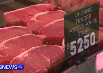 Австралийские животноводы понесли убытки из-за введения Китаем ограничений на импорт говядины. Австралийские животноводы понесли убытки из-за введения Китаем ограничений на импорт говядины.