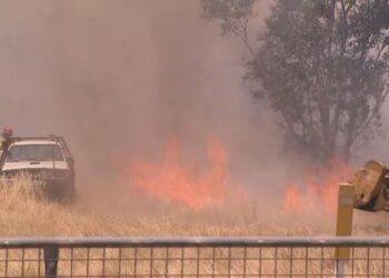В пострадавшем от лесных пожаров районе штата Виктория найдено тело; премьер-министр и глава провинциального правительства посетили разрушенный город. В пострадавшем от лесных пожаров районе штата Виктория найдено тело; премьер-министр и глава провинциального правительства посетили разрушенный город.