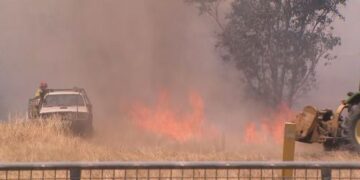 В пострадавшем от лесных пожаров районе штата Виктория найдено тело; премьер-министр и глава провинциального правительства посетили разрушенный город.