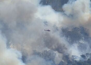Лесной пожар в сельской местности штата Виктория достиг критического уровня.