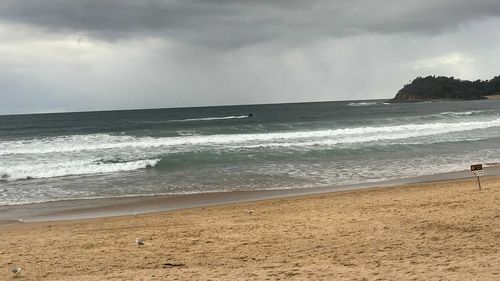 «Чемпионы»: Очевидцы, помогшие спасти жертву нападения акулы, рассказывают о произошедшем.