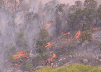 В некоторых районах штата Виктория объявлено чрезвычайное положение в связи с бушующими пожарами на фоне рекордной жары. В некоторых районах штата Виктория объявлено чрезвычайное положение в связи с бушующими пожарами на фоне рекордной жары.