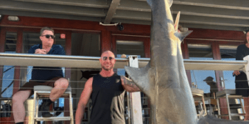 Рыбаки поймали 150-килограммовую бычью акулу в Сиднейской гавани.