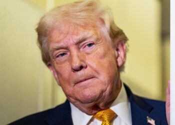 Президент Италии Мелони исключает возможность военных действий США в Гренландии и призывает к усилению роли НАТО в Арктике.