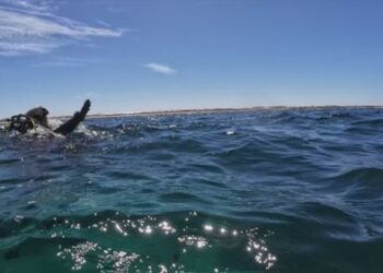 Друзья-дайверы оказываются в самом страшном кошмаре каждого дайвера.