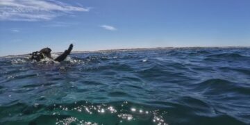 Друзья-дайверы оказываются в самом страшном кошмаре каждого дайвера.