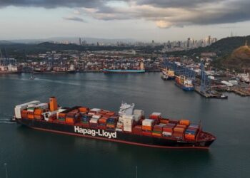 Представитель Мексики Шейнбаум подтвердил суверенитет Мексики в телефонном разговоре с Трампом после задержания олимпийского сноубордиста.