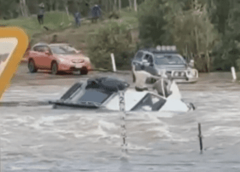 В результате продолжающегося повышения уровня воды в северном Квинсленде погибло более 16 000 голов скота. В результате продолжающегося повышения уровня воды в северном Квинсленде погибло более 16 000 голов скота.