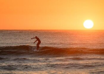 В штате Новый Южный Уэльс ожидается чрезвычайно высокая пожарная опасность в связи с пиком жары в Сиднее.