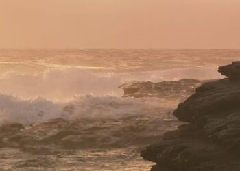 В Новом Южном Уэльсе бушует сильный шторм: спасают отдыхающих, женщина погибла от упавшей ветки.