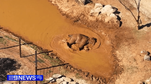 В одном штате бушует жара, а другой готовится к наводнениям.
