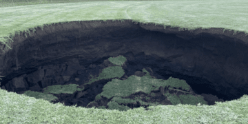 Эксперт по тоннелям заявляет, что в связи с провалом грунта в Мельбурне возникают «серьезные вопросы».