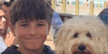 12-летний Нико Антич, пострадавший от нападения акулы, скончался в больнице.