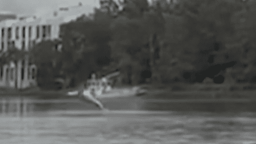 Шокирующее видео показывает, как акула выпрыгивает из реки Сидней рядом со школьными гребцами.