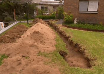 После обнаружения останков на заднем дворе викторианского дома появились предположения о возможном загадочном убийстве.