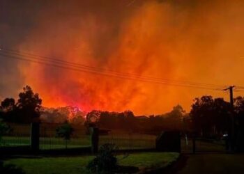 Подростку предъявлено обвинение после того, как петарда вызвала серьезный лесной пожар во время празднования Нового года. Подростку предъявлено обвинение после того, как петарда вызвала серьезный лесной пожар во время празднования Нового года.