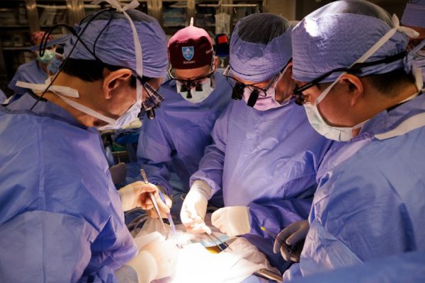 Первый случай «перехода через мост»: мужчина, которому в экспериментальной группе пересадили свиную почку, теперь имеет человеческий орган.