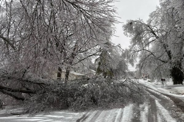Грипп еще не закончился, поскольку новые данные свидетельствуют о возобновлении роста числа заражений.