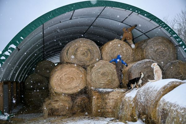 Грипп еще не закончился, поскольку новые данные свидетельствуют о возобновлении роста числа заражений.