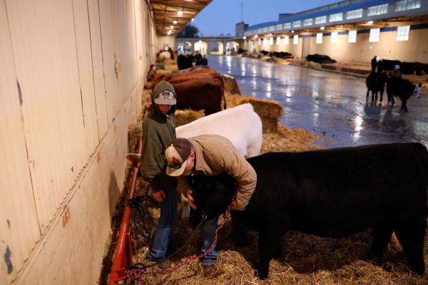 Грипп еще не закончился, поскольку новые данные свидетельствуют о возобновлении роста числа заражений.