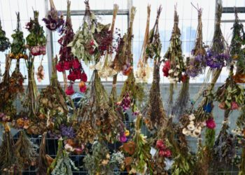 Три тонны цветов, принесенных скорбящими, будут превращены в произведение искусства в память о стрельбе на пляже Бонди.