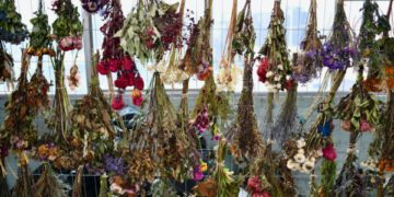 Три тонны цветов, принесенных скорбящими, будут превращены в произведение искусства в память о стрельбе на пляже Бонди.