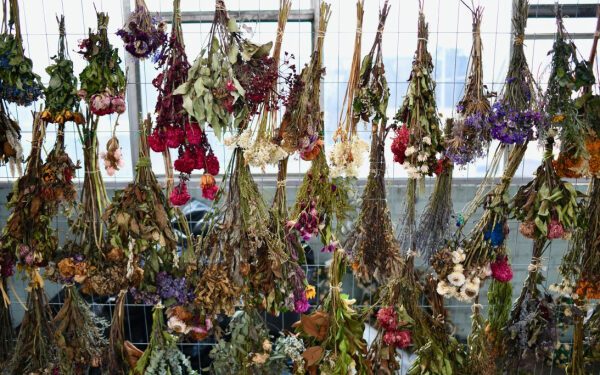 Три тонны цветов, принесенных скорбящими, будут превращены в произведение искусства в память о стрельбе на пляже Бонди.