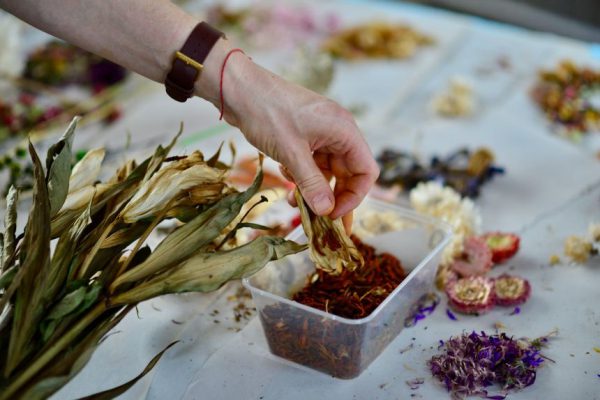 Три тонны цветов, принесенных скорбящими, будут превращены в произведение искусства в память о стрельбе на пляже Бонди.