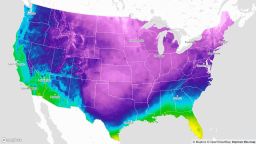 Что такое «взрывающиеся деревья»? Это зимнее явление может оказаться не тем, что вы думаете.